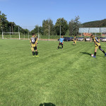 20210710_065553837_iOS