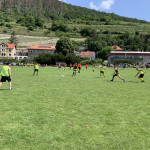 20210710_092217484_iOS