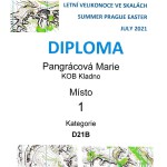 diplom
