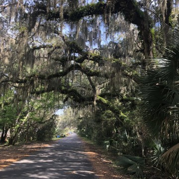 St. Augustine – příroda